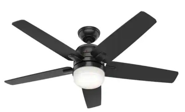 ceiling fans